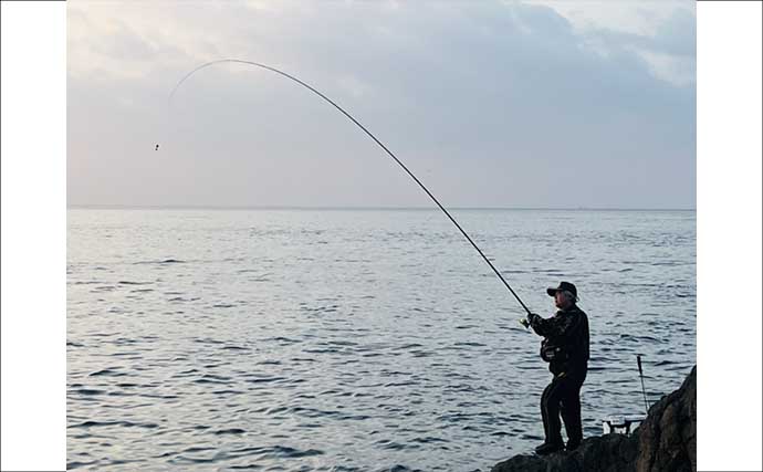 美味しそうな良型クロ（グレ）乱舞！磯フカセ釣りで45cm頭に本命続々【大分・蒲江】
