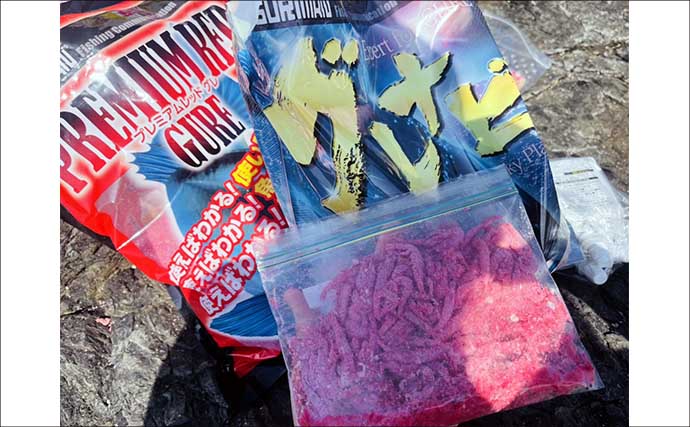 美味しそうな良型クロ（グレ）乱舞！磯フカセ釣りで45cm頭に本命続々【大分・蒲江】