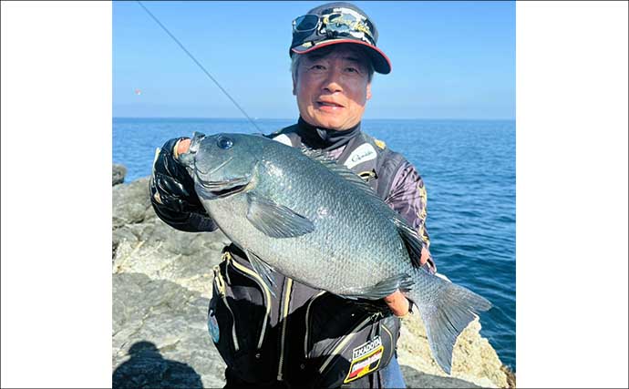 美味しそうな良型クロ（グレ）乱舞！磯フカセ釣りで45cm頭に本命続々【大分・蒲江】