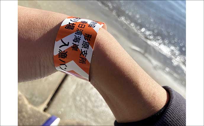 春日浦海岸での潮干狩りで本命ハマグリをゲット【愛知】掘る深さは20cmほど