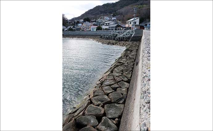 人生初のクロダイを釣りたいなら電気ウキ釣りで決まり！ 「3つの極意」とは？