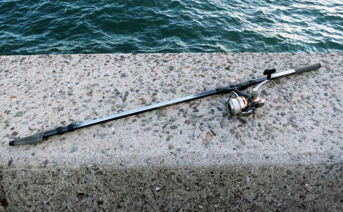 人生初のクロダイを釣りたいなら電気ウキ釣りで決まり！ 「3つの極意」とは？