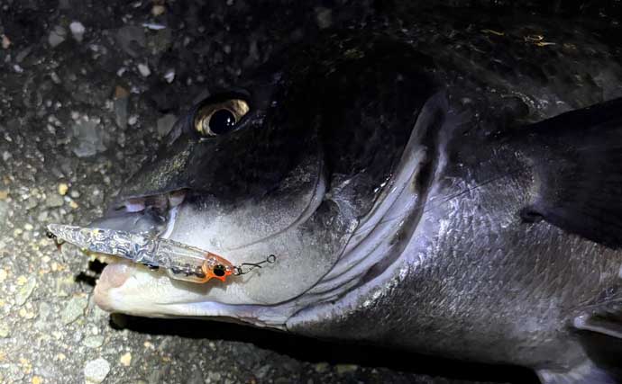 「予算4万円でいける？」チニングに必要な釣り道具を全て揃えてみよう　タモは必要不可欠！