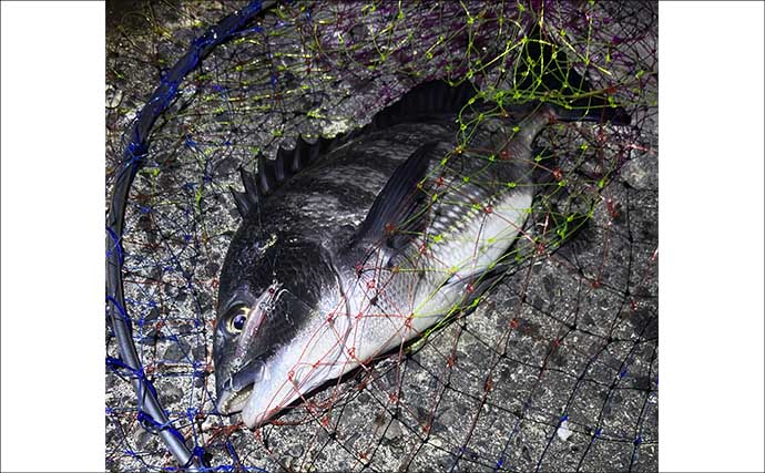 「予算4万円でいける？」チニングに必要な釣り道具を全て揃えてみよう　タモは必要不可欠！