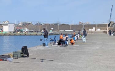 相模湾のファミリー向き釣り場【真鶴港・平塚新港・早川港】で竿を出してみ…