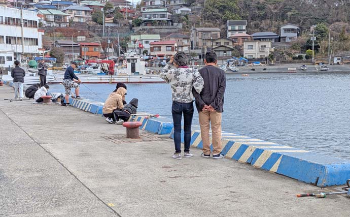 相模湾のファミリー向き釣り場【真鶴港・平塚新港・早川港】で竿を出してみた