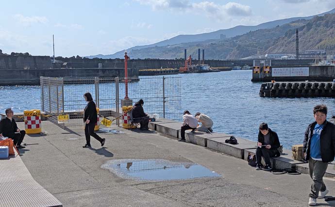 相模湾のファミリー向き釣り場【真鶴港・平塚新港・早川港】で竿を出してみた