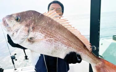 70cm級大型マダイが連発！乗っ込み本格化でタイラバ絶好調【ルアー釣果…