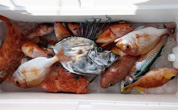 トンジギで30.3kgの特大「タネトン（ビンナガ）」浮上！【沖のルアー最新釣果・三重】