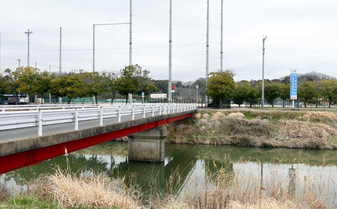 今週のヘラブナ推薦釣り場【茨城県・花室川】