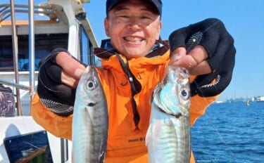 東京湾の半日LTアジ釣りでトップ26尾【進丸】ゲストにイシモチにクロダ…