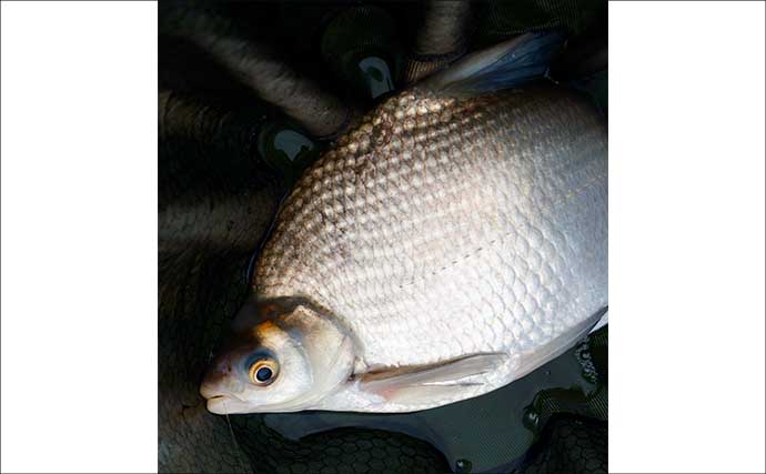 吉田康雄のザ・チャレンジへらぶな【早春の霞ヶ浦で一発勝負！！#4】