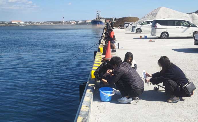 館山港のサビキ釣りで本命アジと対面成功！ 常温保存タイプのコマセで手中