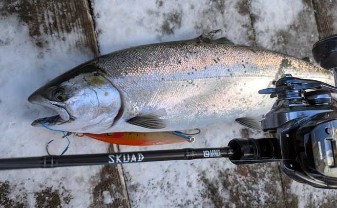 北海道サクラマスジギング釣行で本命連発！ 「コウナゴ」に似せたルアー選択が的中