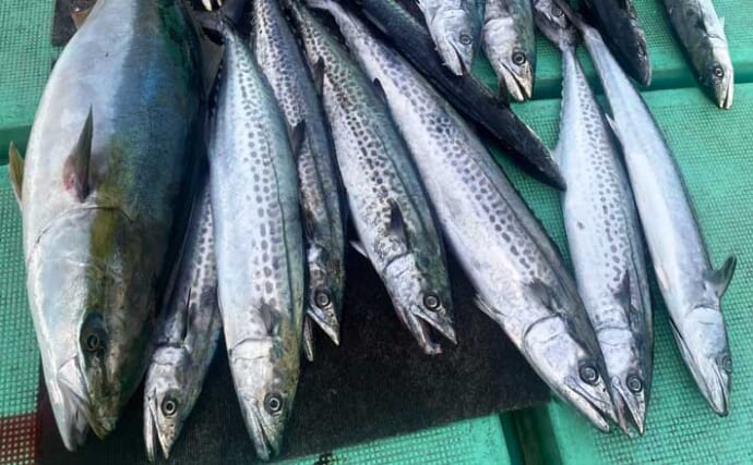 「脂乗った大型青物が好ヒット！」ブリにサワラが続々【沖のルアー釣果速報・福岡】