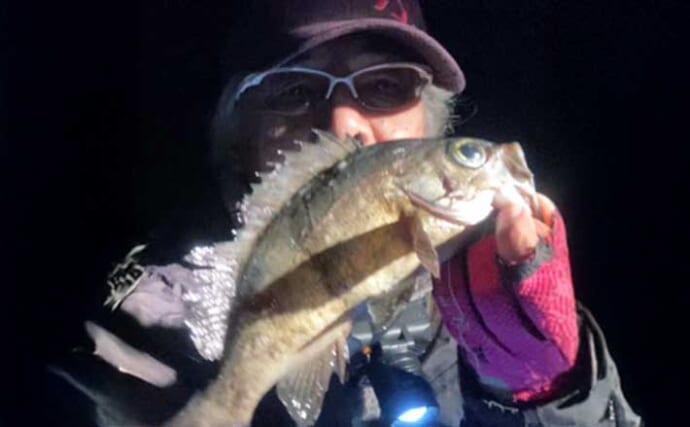 ノベザオ（延べ竿）メバル釣りで27cm筆頭に良型メバルが連発【広島】