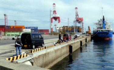 波止でのエサ釣りで良型アラカブ（カサゴ）にクジメ【福岡・太刀浦ふ頭】