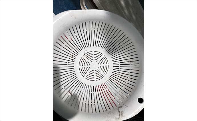 水槽飼育の最大の難関は「最初の1週間」！　注意すべき6つのポイントを解説