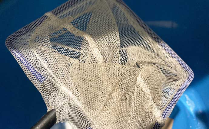 水槽飼育の最大の難関は「最初の1週間」！　注意すべき6つのポイントを解説