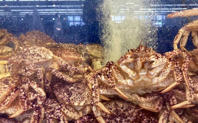 水槽飼育の最大の難関は「最初の1週間」！　注意すべき6つのポイントを解説