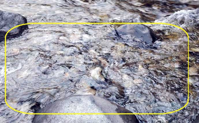 「エサの生態を知れば釣果アップ！」渓流釣りエサ【キンパク・ヒラタ・ピンチョロ】を解説