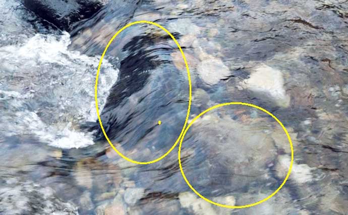 「エサの生態を知れば釣果アップ！」渓流釣りエサ【キンパク・ヒラタ・ピンチョロ】を解説