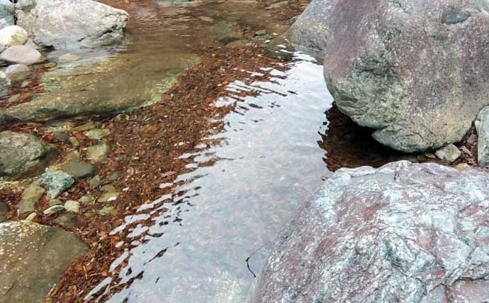 「エサの生態を知れば釣果アップ！」渓流釣りエサ【キンパク・ヒラタ・ピンチョロ】を解説