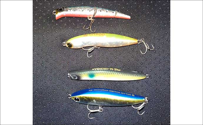 春のリバーシーバスの「混合ベイト」って何？　メインベイトの見極めが攻略のカギ