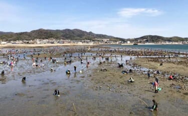 解禁初日の潮干狩りでハマグリ＆アサリ合わせて規定量採取を達成！【愛知・…