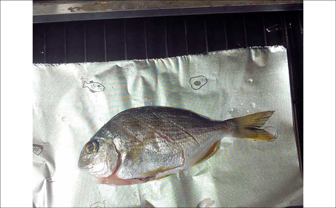 釣った魚で作る「日本の朝ごはん」レシピ：ヘダイのちょい干し