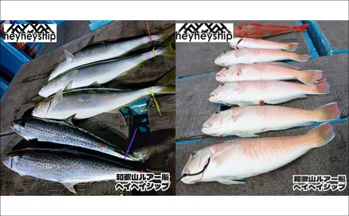 ジギングで極太のブリが続々ヒット！ 関西エリアの【船釣り特選釣果】