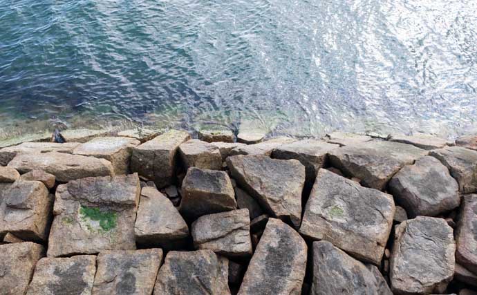 100均メタルジグで十分に楽しめる春の穴釣り 【タックル・狙い方を解説】