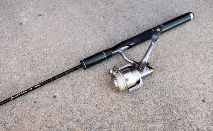 100均メタルジグで十分に楽しめる春の穴釣り 【タックル・狙い方を解説】