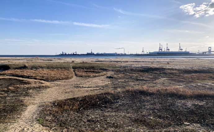 様々な貝が採れる高松海岸で潮干狩り堪能【三重】マテ貝・ハマグリ・シオフキなど採取