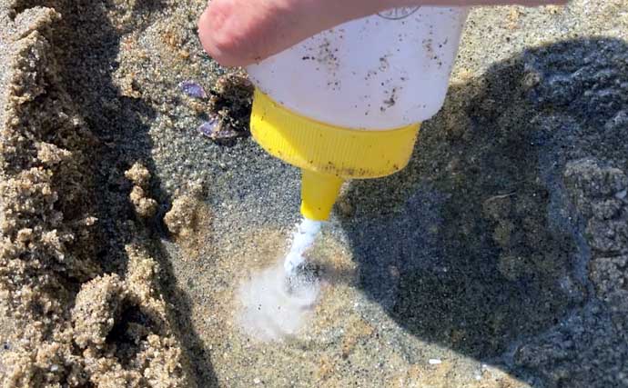 様々な貝が採れる高松海岸で潮干狩り堪能【三重】マテ貝・ハマグリ・シオフキなど採取