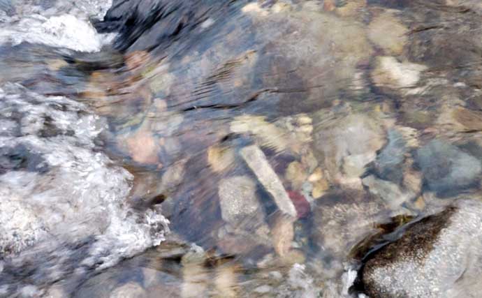 「渓流釣りのエサは季節で変わる！」 春～初夏に活躍する川虫3選を解説