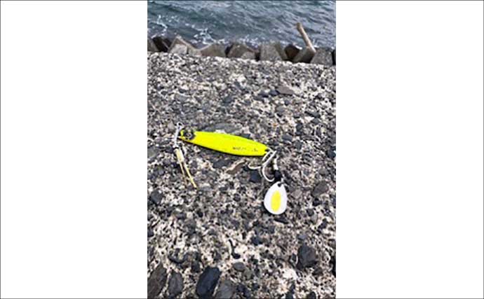 鞠山海遊パークでのショアジギングで48cmサゴシ（サワラ）釣れた！【福井】