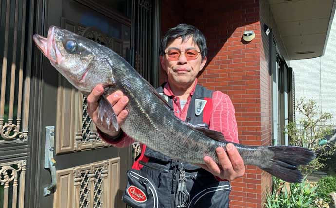 夜の落とし込み釣りでクロダイにスズキをキャッチ！【愛知】活きエビにヒット