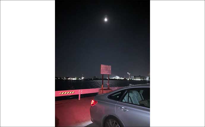 夜の落とし込み釣りでクロダイにスズキをキャッチ！【愛知】活きエビにヒット