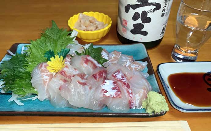 夜の落とし込み釣りでクロダイにスズキをキャッチ！【愛知】活きエビにヒット