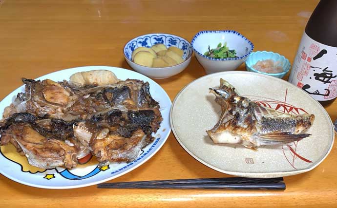 夜の落とし込み釣りでクロダイにスズキをキャッチ！【愛知】活きエビにヒット