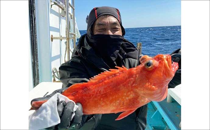 中深海釣りでオニカサゴ・ウッカリカサゴ・トラフグなど良型中心に好ヒット【愛知】