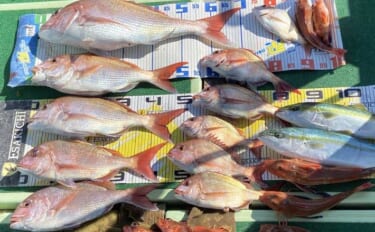 タイラバで本命マダイにハマチにホウボウなど多彩にヒット！【沖のルアー釣…