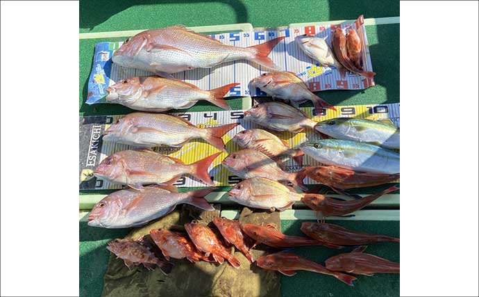 タイラバで本命マダイにハマチにホウボウなど多彩にヒット！【沖のルアー釣果速報・三重】