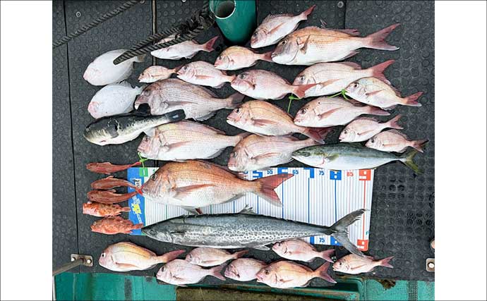 タイラバで本命マダイにハマチにホウボウなど多彩にヒット！【沖のルアー釣果速報・三重】