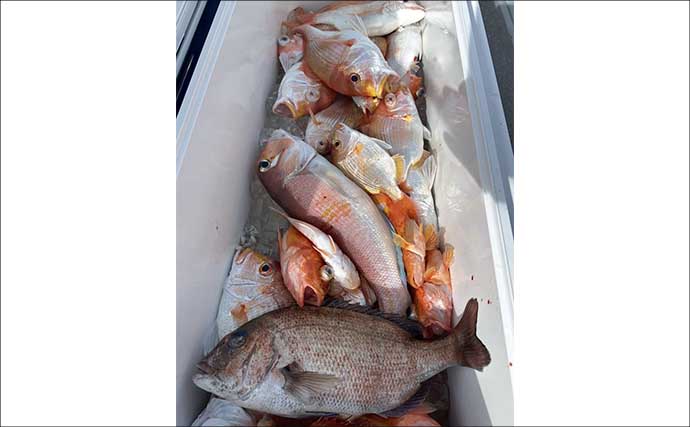 タイラバで本命マダイにハマチにホウボウなど多彩にヒット！【沖のルアー釣果速報・三重】