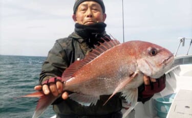 タイラバ釣行でバラし連発もめげずに巻いて60cmマダイ手中【まとばや丸】