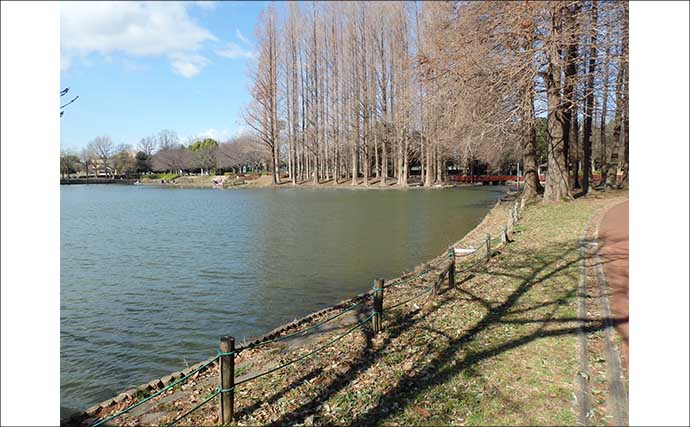 今週のヘラブナ推薦釣り場【埼玉県・北本総合公園】