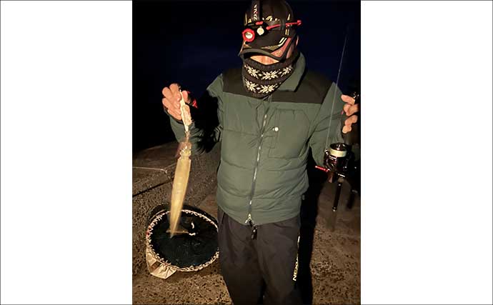 鶏のささ身にササイカ（ヤリイカ）連発！【山口】波止エギングで本命50尾キャッチ