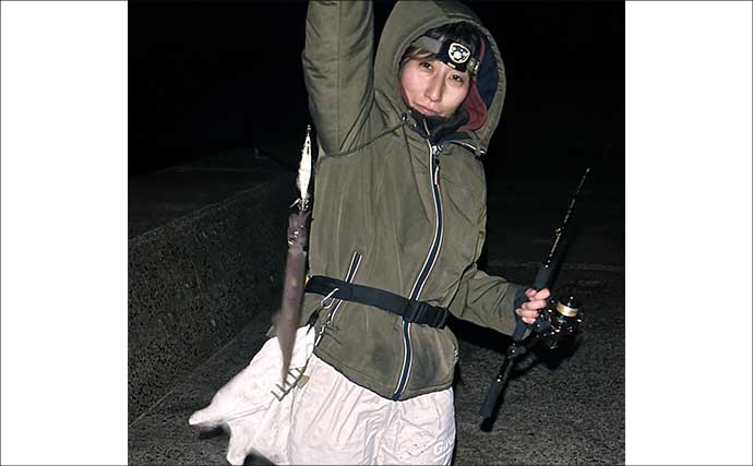 鶏のささ身にササイカ（ヤリイカ）連発！【山口】波止エギングで本命50尾キャッチ